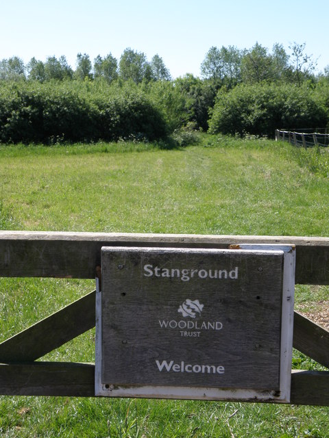 Stanground Wood
